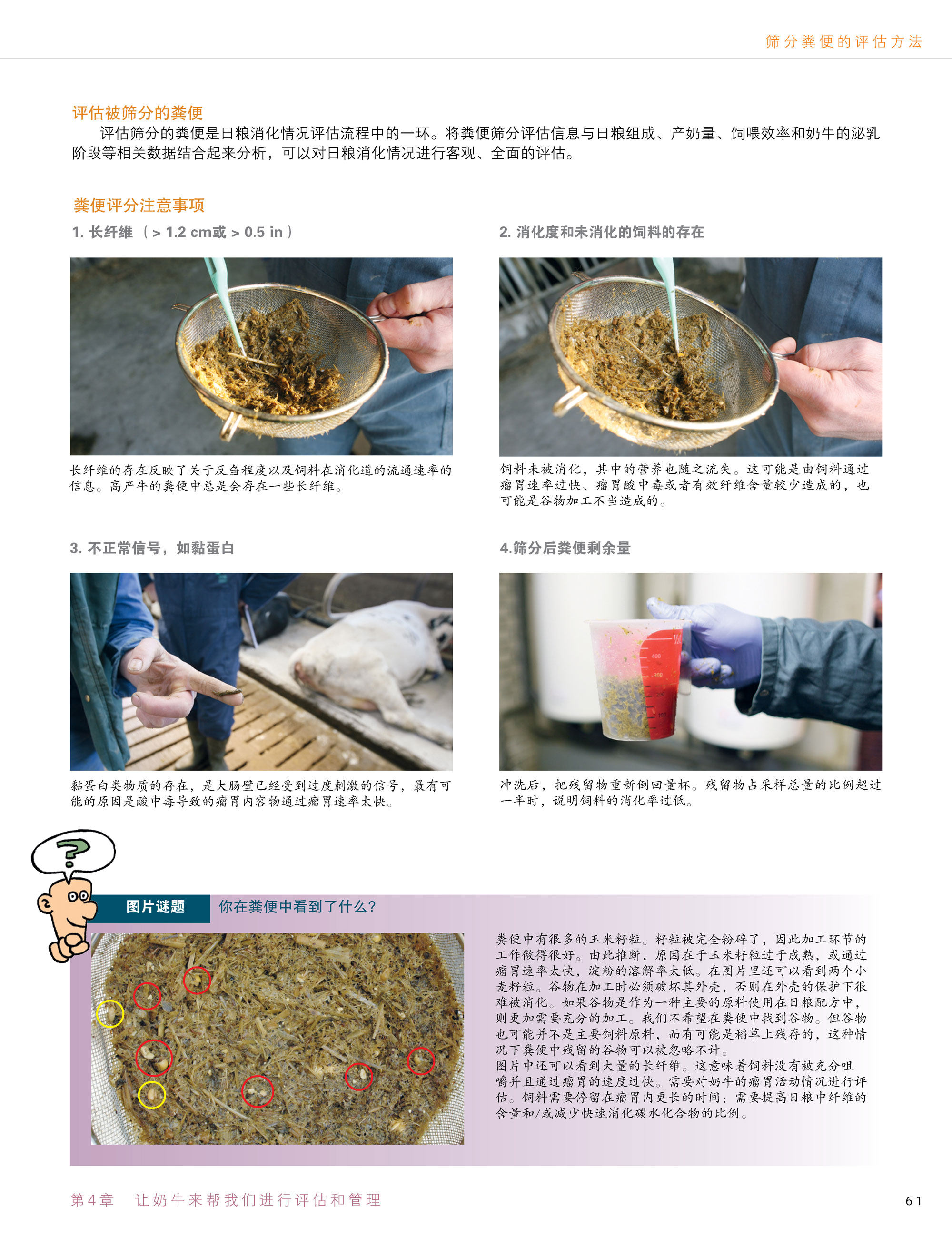 奶牛信号指导手册 饲喂信号一套两本奶牛健康奶牛生产奶牛福利奶牛饲喂奶牛饲养
