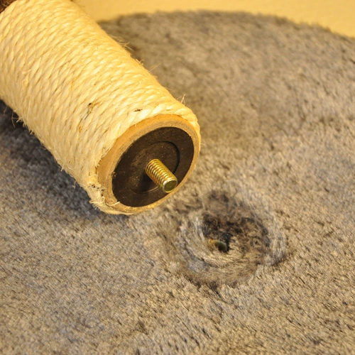 Меч -римп кошачий царапина Стоящие когти -устойчивый