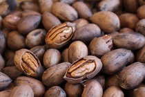 Yunnan Tengchong new goods raw green root fruit longevity fruit America pecan 500 grams to buy 2 catty