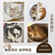 ຕົ້ນສະບັບຂອງຍີ່ປຸ່ນອາລູມິນຽມງ່າຍດາຍ cat pot ຫມາຂະຫນາດນ້ອຍ pet ຮັງ cat ເຢັນ kennel summer cooling and heatstroke prevention ice pad ice nest
