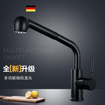 304 stainless steel Black pull-out kitchen faucet hot and cold wash basin sink sink sink basin faucet