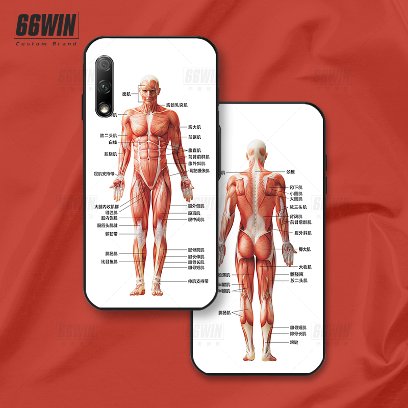 Medical Student Fitness Self-Discipline Theme Human Muscle Distribution Chart Phone Case Suitable for iPhone 17 Pro Max, Bodybuilding, Muscle Gain, Fat Loss, Apple 16/15/14, Weightlifting Expert, 13 Anti-Drop, 12 Android Medical Student Fitness Self-Discipline Theme Human Muscle Distribution Chart Phone Case Suitable for iPhone 17 Pro Max, Bodybuilding, Muscle Gain, Fat Loss, Apple 16/15/14, Weightlifting Expert, 13 Anti-Drop, 12 Android