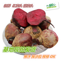 Fresh vegetables Beetroot Beetroot Purple Beet Western side dish 500g Jiangsu Zhejiang and Shanghai five catties