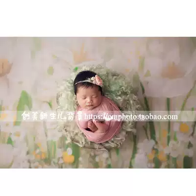 Newborn flower background soft glue oil painting background foldable full moon background cloth waterproof soft glue background ZH-279