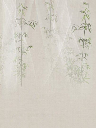 Founding Beauty Ancient Dress Background Photo Gallery Ancient Dress Spray-painted Background Bamboo Ancient Dress Writing True Background pz-937 of the green sleeves