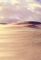 Desert background costume background photo studio electric costume hanging cloth costume exterior photo background PZ465