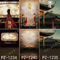 Yang Mi Fuyangshu costume photo background cloth film and television shake photo costume background photo studio ancient costume photo shake