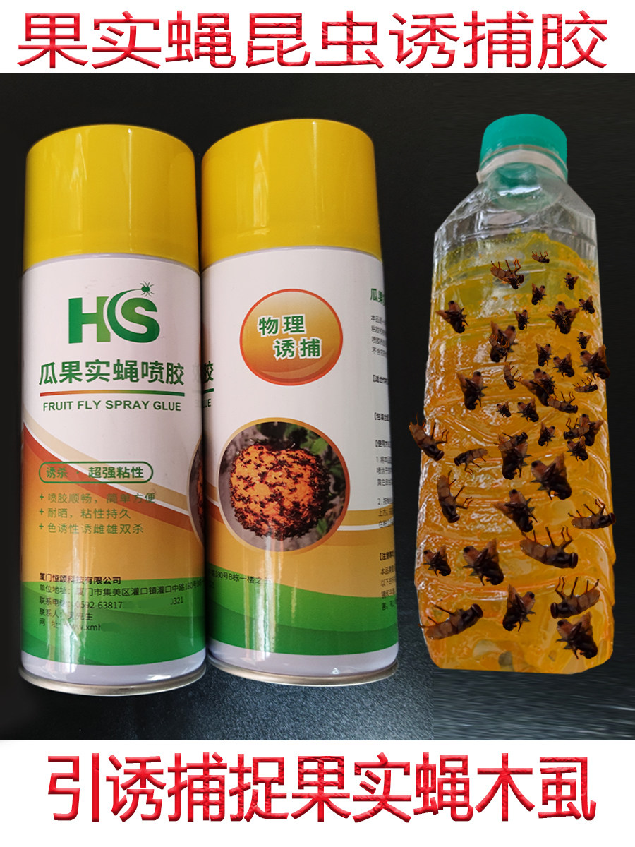 Fruit fly sticky plate melon and fruit Fly Spray Glue Citrus Lychee Bitter Melon Luring Catcher Spray Bee Sticky with Non-toxic Physics