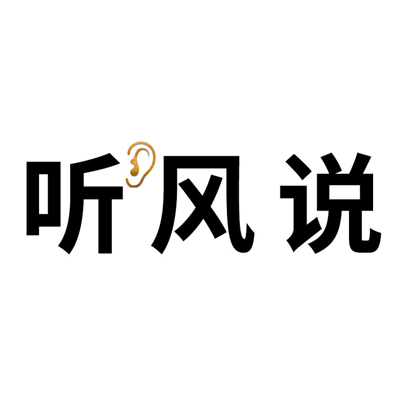 听风说饰品文创的LOGO