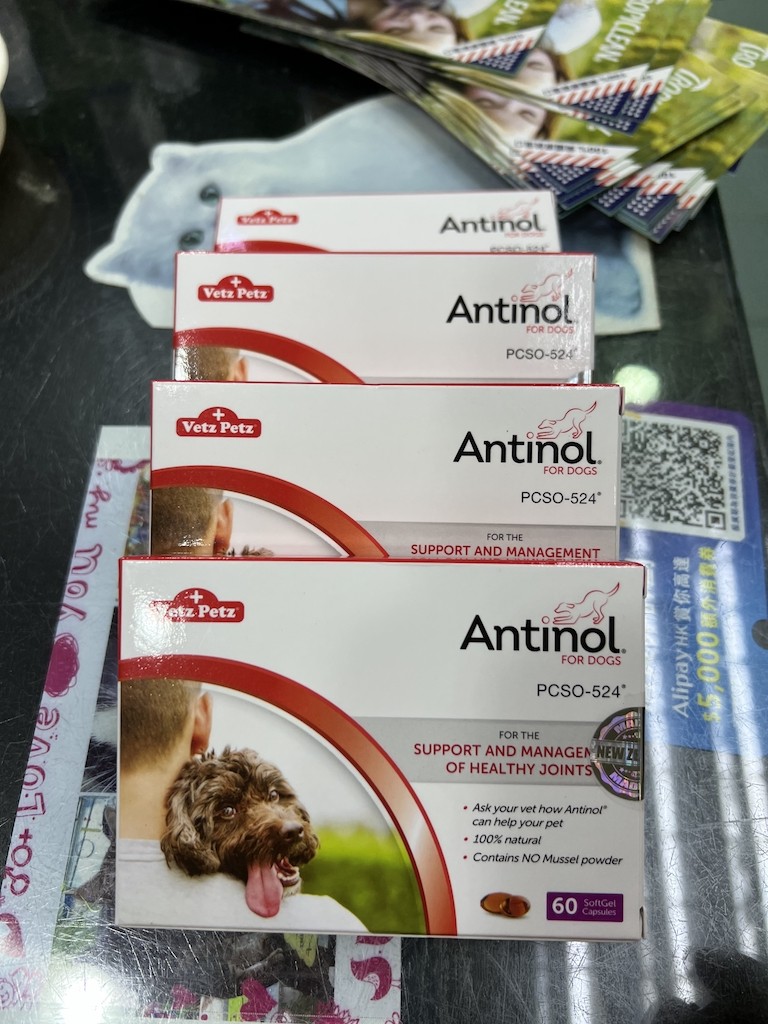 HK buys Antinol Anshide joint grain skin maintenance degenerative arthritis seafood soft capsule for dogs and cats