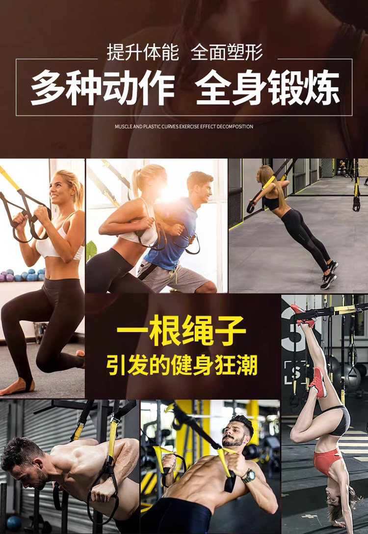 TRX 벨트 밴드 홈짐 운동 트레이닝 로프 피트니스 - G마켓 모바일