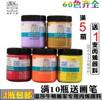 Windsor Newton acrylic pigment 300ML hand painted wall painting T-shirt DIY painter special acrylic paint white gold