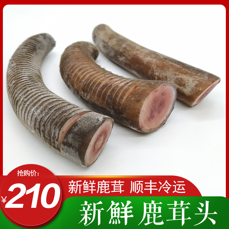 Fresh Antler Whole Branches Wax head Fresh sliced head stubble Two bars Northeast May Flower Deer Slice Blood Slice Bubble Wine medicinal herbs 70g