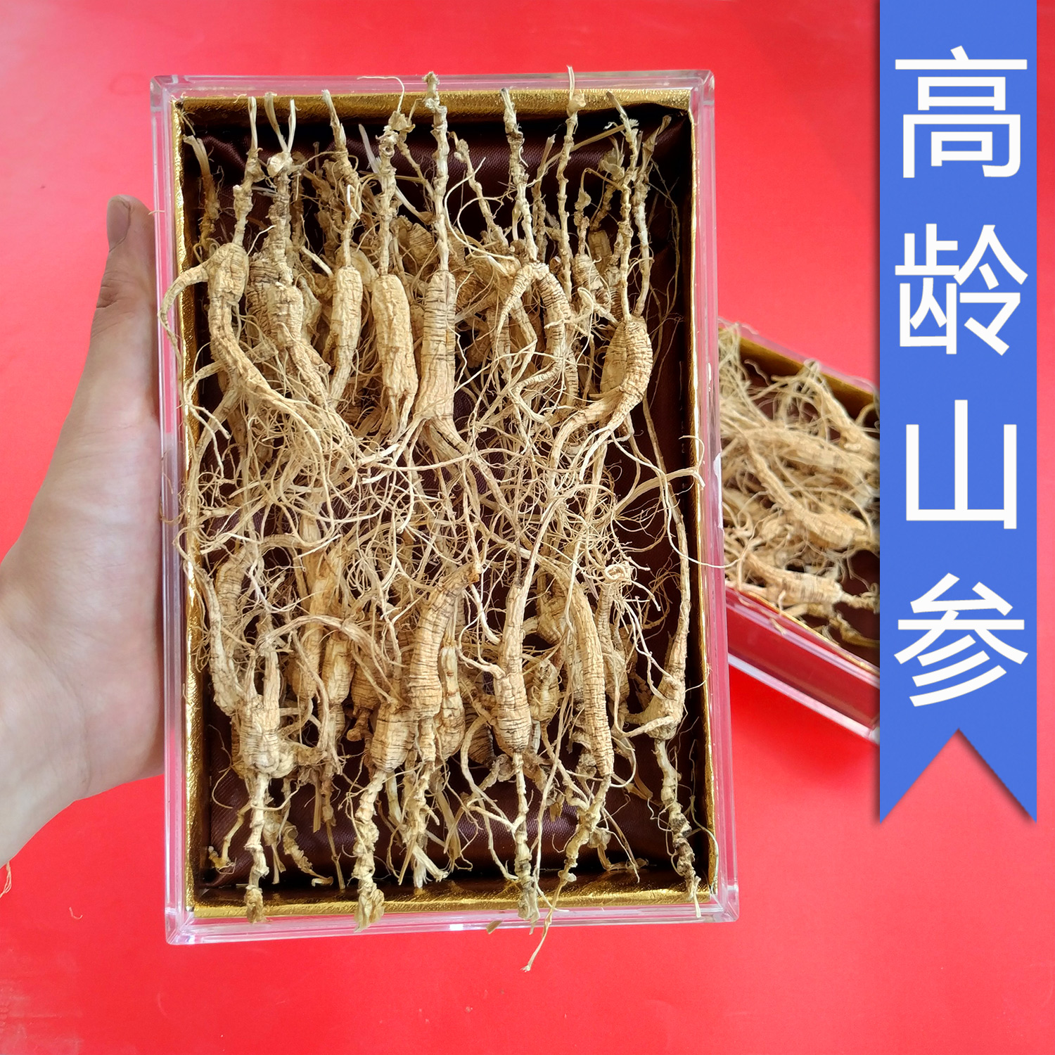 Changbai Mountain ginseng wild ginseng forest ginseng seeds goods first-class dry ginseng wine gift box Northeast wild ginseng 15 years