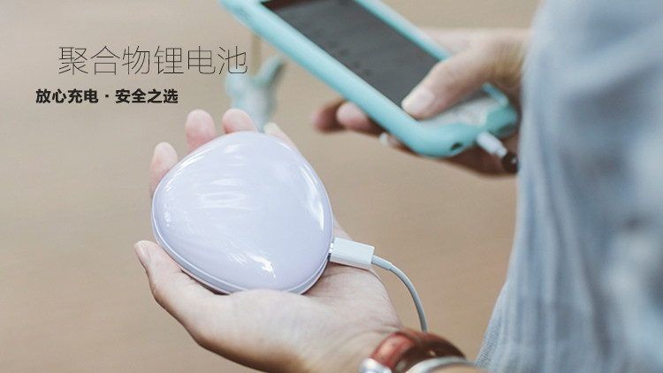 Coussin chauffant USB LITTLE POLLY Le Japon et la Corée du Sud - Ref 423663 Image 14