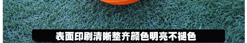Ballon de volley-ball - Ref 2012767 Image 17