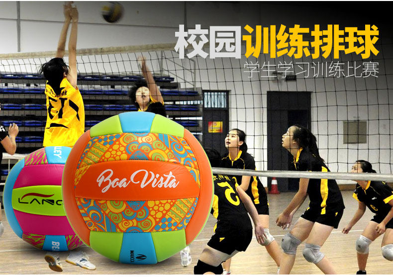 Ballon de volley-ball - Ref 2011345 Image 8