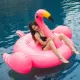 Net đỏ hồng vàng flamingo kỳ lân bơi vòng trẻ em người lớn gắn kết nổi giường nước bơm đồ chơi nổi hàng - Cao su nổi