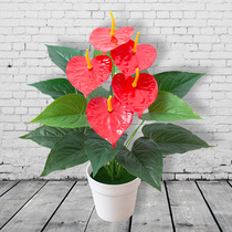 Nordic Red Palm Loose Tail Sunflower Emulation Flower Living-room Decoration Pendulum Potted Plant Green Plant Hair Chaetree Plastic Bouquet Fake Flowers