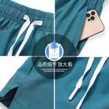 [Один склада зона] Выйти из полков 丨 Покрыть шкаф и очистить склад 丨 Взрывное прямое осень 丨 Летний выбор 丨 Одежда для домашних животных