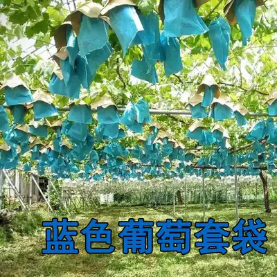 Grape bag sunshine rose grape bag anti-rain and disease prevention fruit show Fruit Bag special grape bag