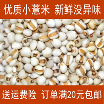 Small barley 500g a catty of fresh and dry goods fragrance-free coals bulk high-quality Italian rice Good Goods