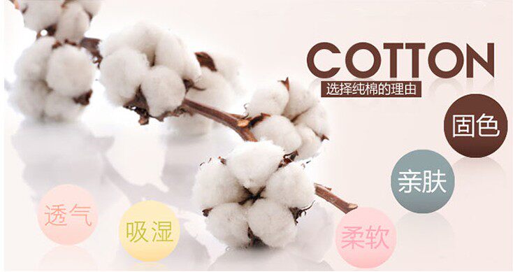 Slip jeunesse doux en coton - Ref 641180 Image 10