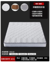 Carfina Simmons Natural Latex Coconut Palm Mattress Collection