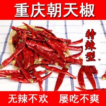 Chongqing local specialty Chaotian pepper dried pepper sea pepper seasoning powder Super spicy Sichuan Hunan Guizhou 500g