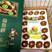 Zhengzong Season Fruits Shaanxi Eyebrow County Xu Xiangkiwi 5 catties 9 catty September Shipping