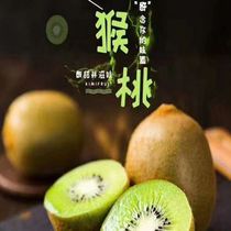 Zhengzong Season Fruits Shaanxi Eyebrow County Xu Xiangkiwi Fruits 5 Catty 9 Catty