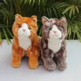 Реалистичная плюшевая милая игрушка, тряпичная кукла подходит для мужчин и женщин, котенок, кот, енот, подарок на день рождения