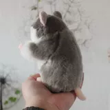 Плюшевая милая игрушка, кукла, подарок на день рождения