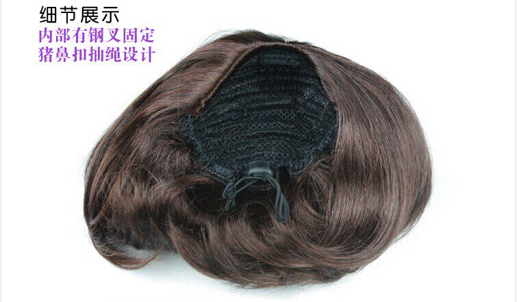 Extension cheveux - Chignon - Ref 245004 Image 11