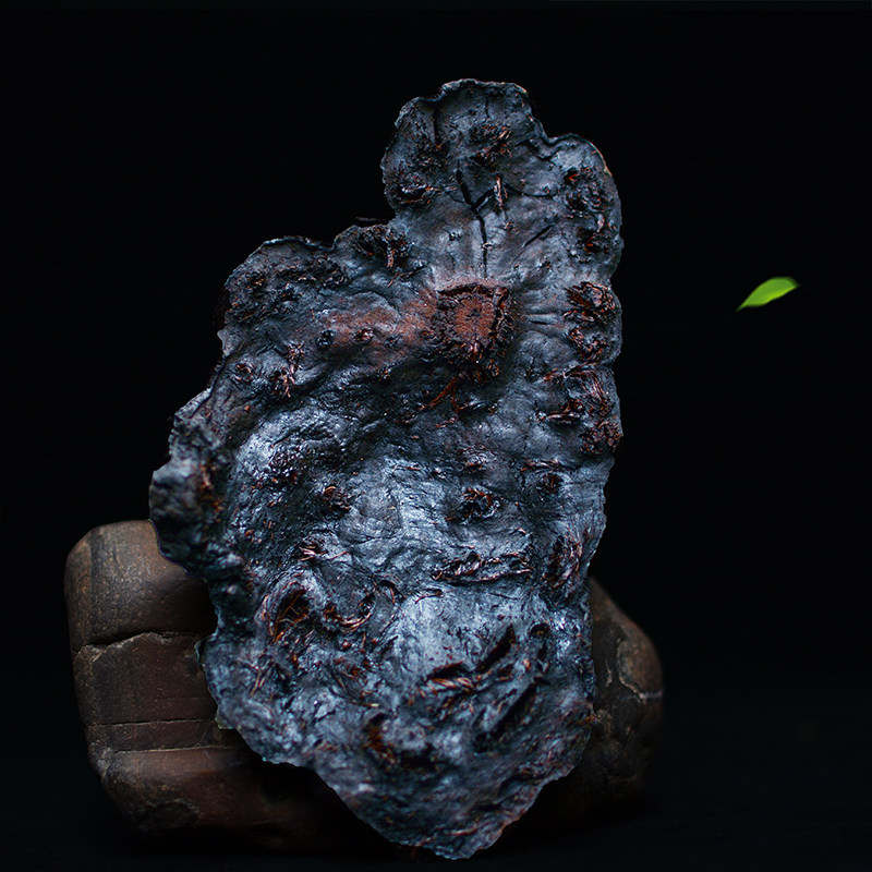 150 150 years left and right raw long-term wild blood fleece-flower root red core made of fleece-flower root nine-steamed nine-made-prepared fleece-flower root 500 gr