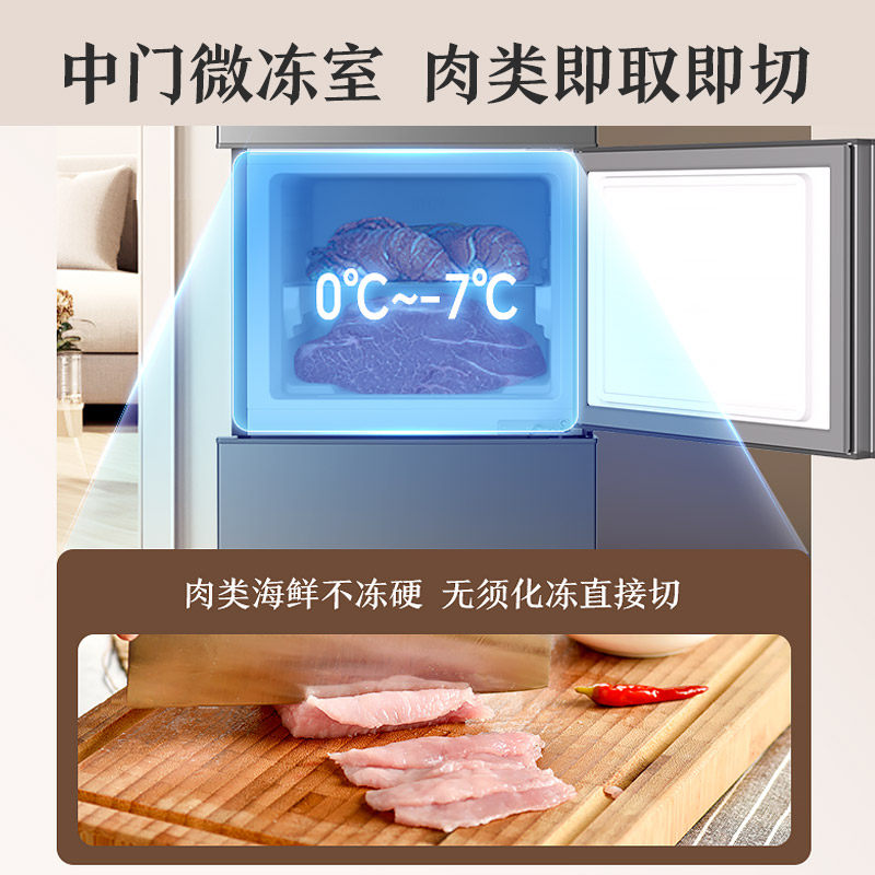 澳柯玛BCD-220NE冰箱图片