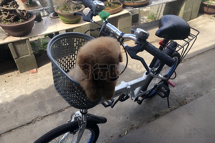 Panier pour vélo en plastique - Ref 2268017 Image 19