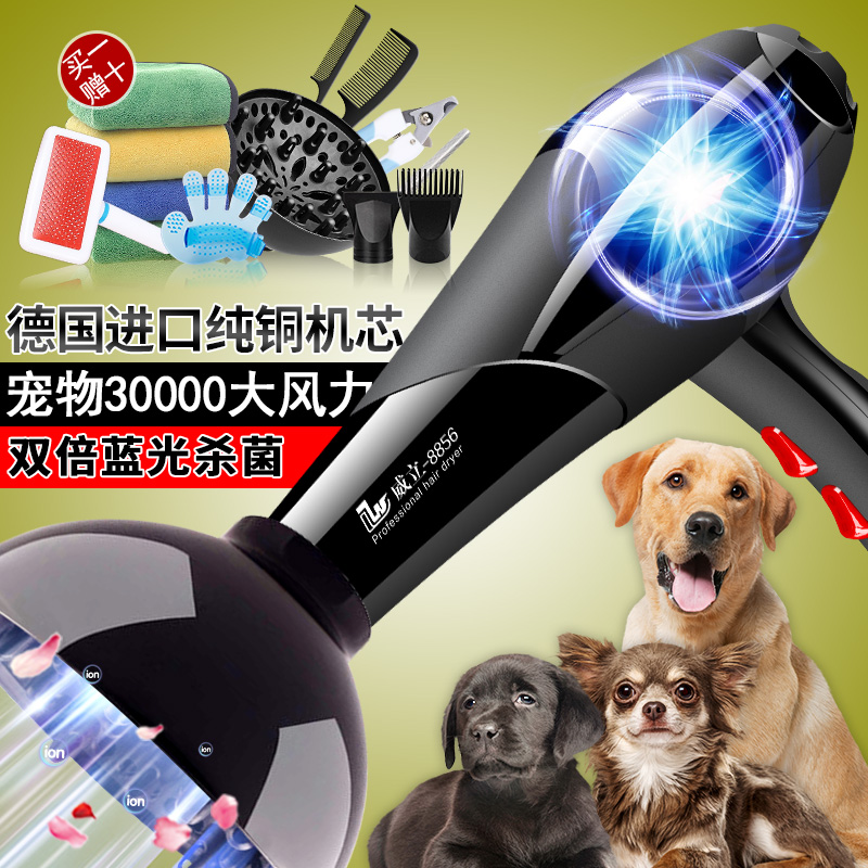 Pet store Electric blowing wind pulling the hair Divine Instrumental Speed Dry Integrated Bath Pet Dog Drying Large Dog Pooch Hair Dryer-Taobao