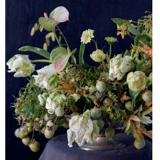 Цвета цветочного искусства Кианы Four Seasons