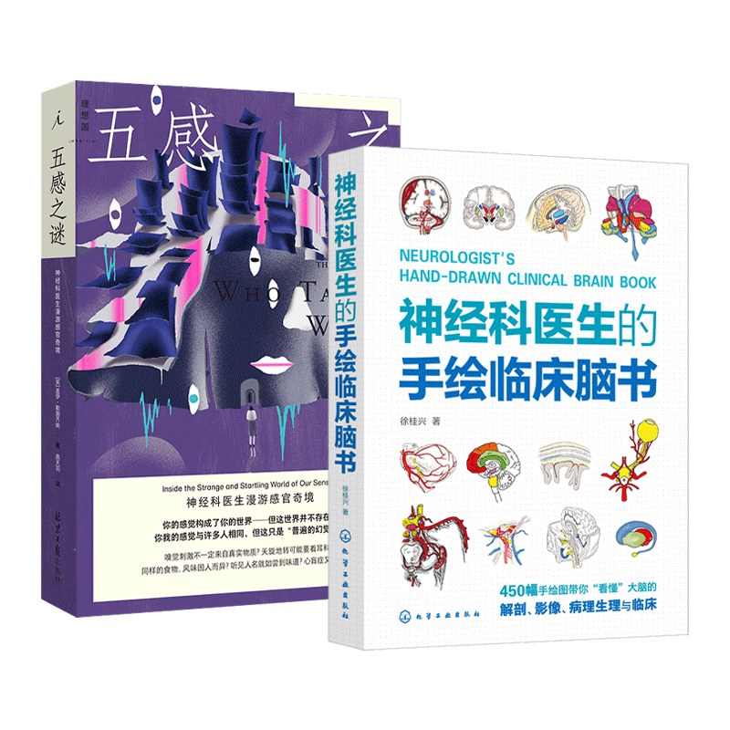 神经科医生脑科学书籍 神经解剖生理病理与临床教学