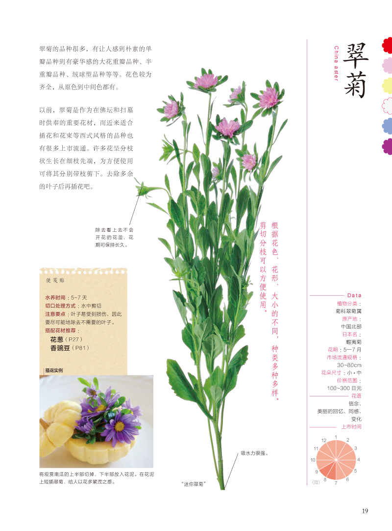 花圖鑑 421種人氣花藝素材圖解插花書籍教程入門花藝素材大全花藝書籍插花設計書花店零基礎花藝書選擇花材顏色搭配 花圖鑑 421種人氣花藝素材圖解插花書籍教程入門花藝素材大全花藝書籍插花設計書花店零基礎花藝書選擇花材顏色搭配
