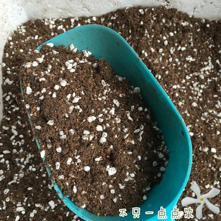Cultivation of earth imported grass charcoal soil perlite vermiculite deploying grass charcoal various types of earth and multimeat broccoli soil