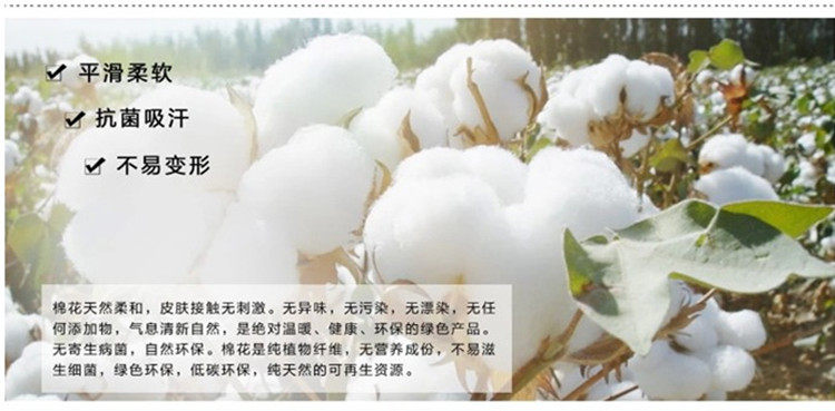 Pantalon collant Moyen-âge en coton - Ref 749682 Image 23