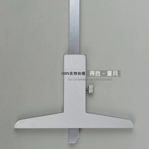 Wanyou Brand Deep Debulbel Mabel Stard Ruler 0-150 0-200 0-300 мм 0,02 фута материал тела Алюминий