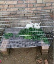 Rabbit cage Dutch pig supplies rabbit cage pet breeding extra large large rabbit cage rabbit cage