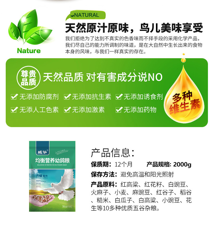 Thức ăn cho chim bồ câu Thức ăn cho chim bồ câu Thức ăn cho chim Thức ăn cho chim Chim bồ câu Bồ câu Bồ câu Bồ câu Bồ câu Bồ câu Bồ câu Bồ câu - Chim & Chăm sóc chim Supplies máng nước tự đông cho gà
