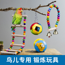 Bird toy parrot swing ladder bird cage accessories bird training bite Xuanfeng tiger skin puzzle funny bird ring supplies