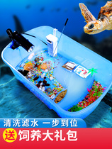 Turtle Jar With Sundae VIEW LARGE LOW WATER LEVEL FILTER HOME TORTOISE TANK SMALL CREATIVE SMALL TURTLE REARING BOX