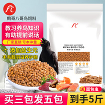 8-Gothic feed Feed Wren Special Staple Food Nutritional Bird Food with Magnificent Fat Young Birds to Sing Bird Birds Singing Birds and Birds Singing