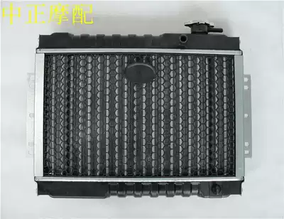 Jiangsu Zongshen three-wheeled locomotive semi-enclosed water tank radiator fan Assembly